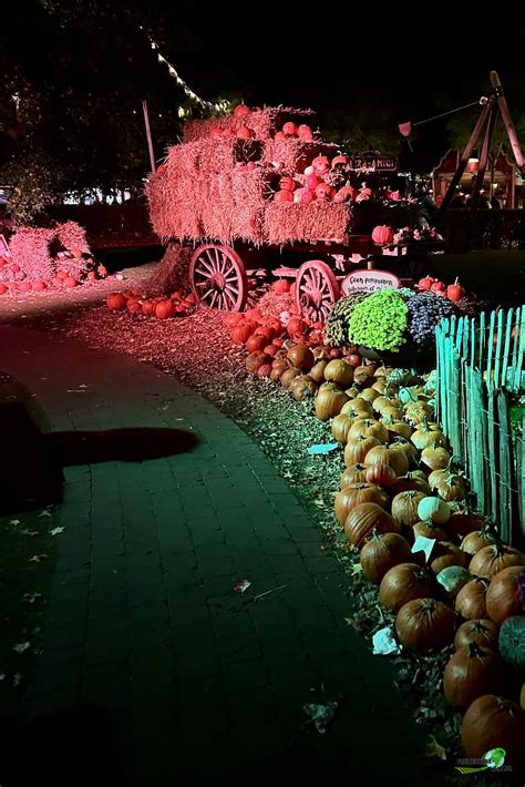 Ein Besuch Der Halloween Nights Im Toverland Toverland