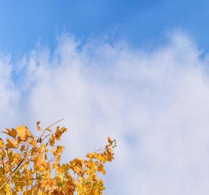 Fall Sky Stock Photos, Images and Backgrounds for Free Download