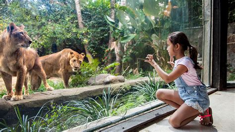 Bali Zoo Park - All Things Need To Know Before Visiting