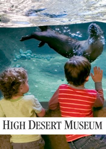 High Desert Museum – What If We Could?