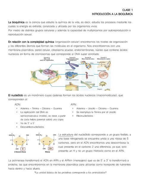 Bioquímica Clase 1 Introducción y Agua CLASE 1 INTRODUCCIN A LA