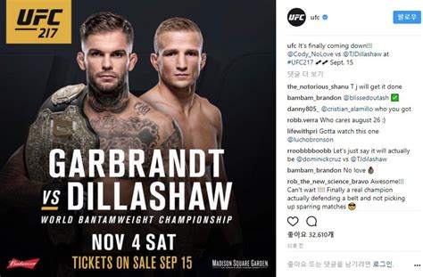 코디 가브란트 Vs 딜라쇼 Ufc 217 인스티즈instiz 이슈 카테고리