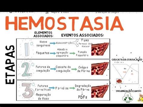 The Diagram Shows How To Use Hemostasia