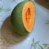 The Cantaloupe Fruit What You Should Know