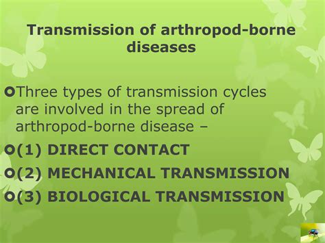 Medical Entomology Lecture Ppt Ppt