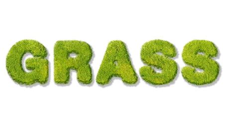 Photoshop Tutorial How To Create Grass Text Effect Photoshop