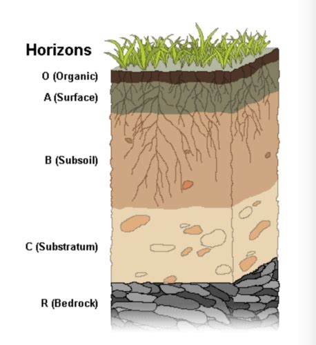 Weathering Erosion And Sedimentary Rocks Flashcards Quizlet