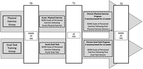 Frontiers Aerobic Physical Exercise Versus Dual Task 52 OFF