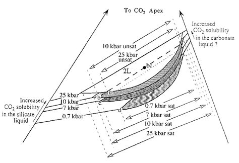 Schematic diagram constructed after Fig. 4, to illustrate changes of ...