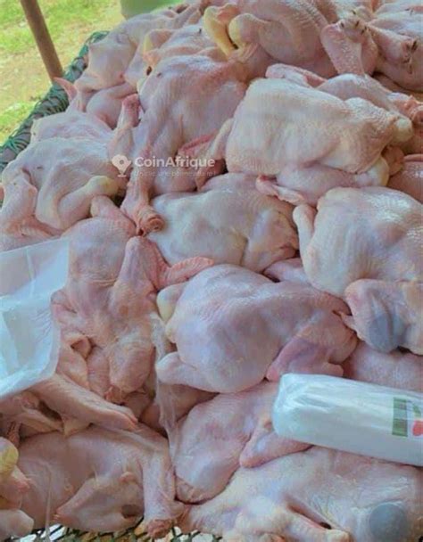 Alimentation Poulets de chair au Sénégal CoinAfrique Sénégal