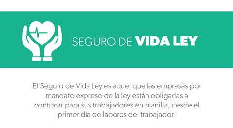 Conoce Todo Sobre El Seguro De Vida Ley APESEG