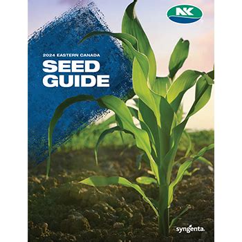 NK Seeds East Syngenta CA