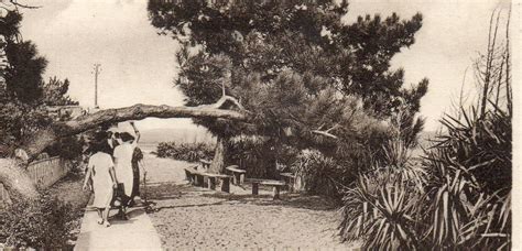 Lège Cap Ferret aux origines de la Presquîle