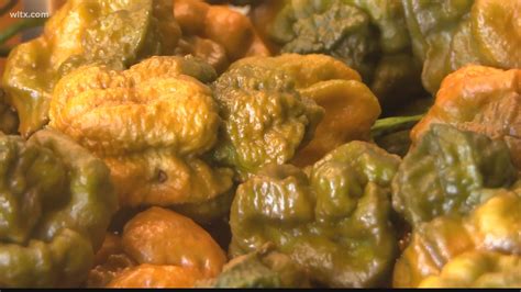 Pepper X Named World S Hottest Pepper By Guinness World Records Wltx