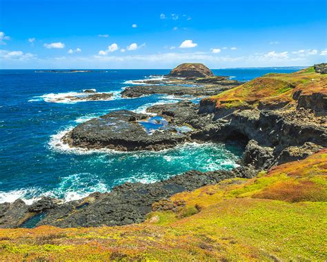 phillip island day  melbourne elite tours