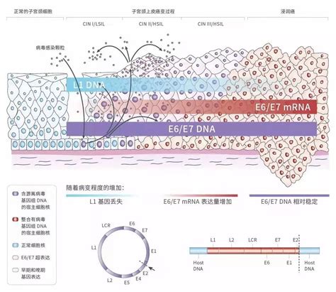 以善良之本立身，以责任之心前行！祝贺海尔施基因荣获“最美宫颈守护者 社会责任奖”宁波海尔施基因科技股份有限公司