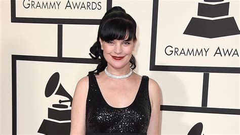 Pauley Perrette Porn Pics Telegraph