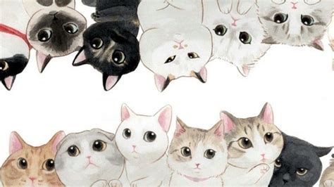 cat wallpaper | Cute laptop wallpaper, Cute desktop wallpaper, Cat ...