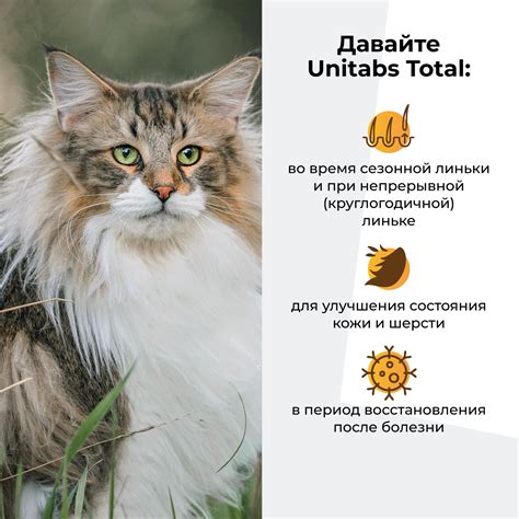 Витамины для кошек Unitabs Тотал с Q10 20мл купить по цене 351 ₽ с ...