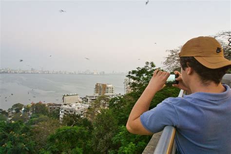 Mumbai Private Bollywood Tour With Mumbai Sightseeing GetYourGuide