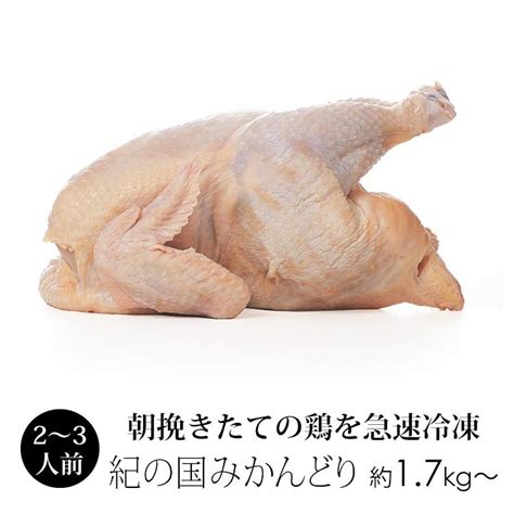 ふるさと納税 印南町 紀の国みかんどり グリルチキン ご予約品