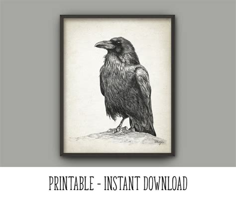 Printable Raven Print Raven Wall Art Poster Raven Pencil Etsy