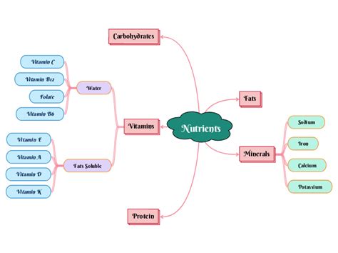 Nutrients Mind Map