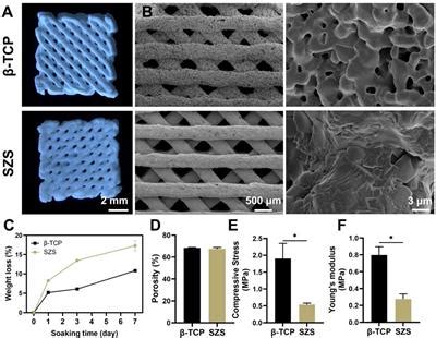 Frontiers 3D Printed Sr2ZnSi2O7 Scaffold Facilitates Vascularized