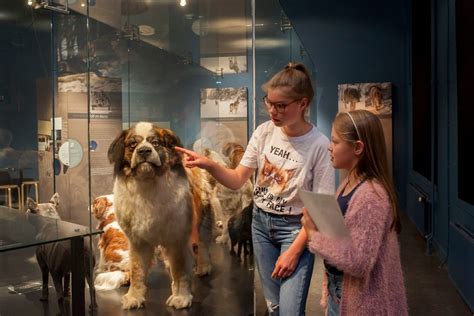 Natuurmuseum Brabant Tilburg