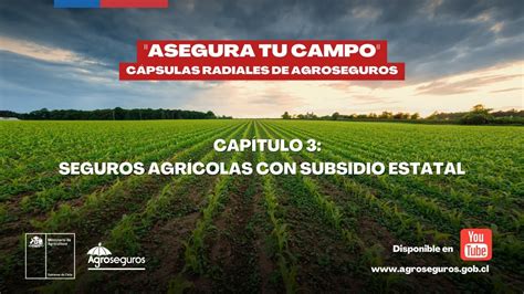 Cápsulas radiales Asegura tu Campo Capítulo 3 Seguros agrícolas