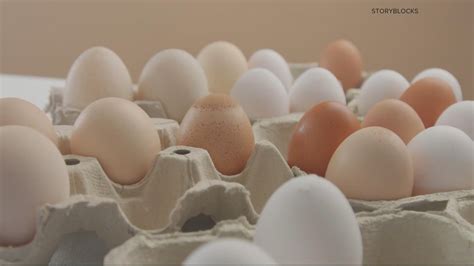 Here S Why Egg Prices Are So High Wusa9