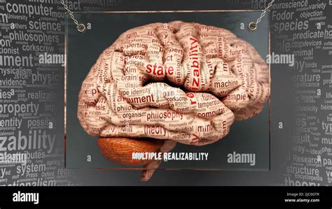 Multiple Realizability In Human Brain Dozens Of Terms Describing Its