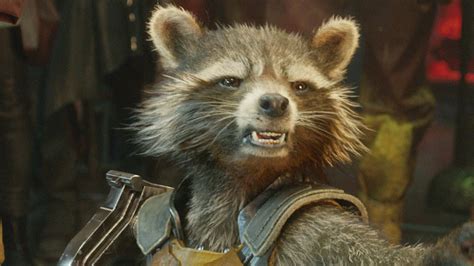 Why Doesn't Bradley Cooper Play Rocket Raccoon On The 'Guardians Of The ...