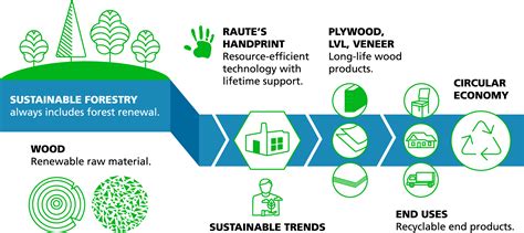 Value Chain And Sustainability Raute