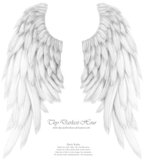 Angel Wings With Halo Memorial Tattoo Halo Tattoo Wings Tattoo Hot Sex Picture