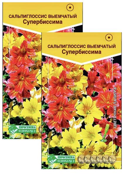 Сальпиглоссис Евросемена Однолетние растения для сада - купить по ...