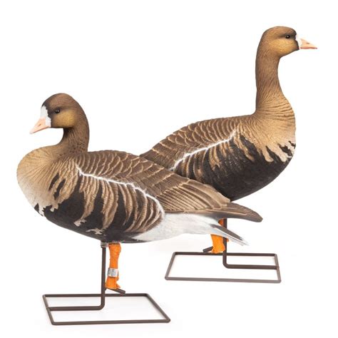 Limited Series Dave Smith Decoys