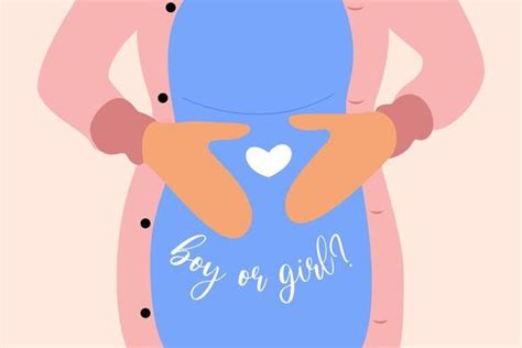 Baby Gender Reveal Vector Art, Icons, and Graphics for Free Download