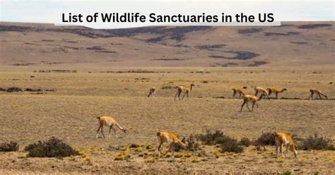 List of Animal Wildlife Sanctuaries in the U.S.