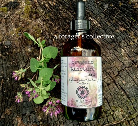 Oregano Tincture , Origanum Vulgare Extract , Fresh Leaf Herbal