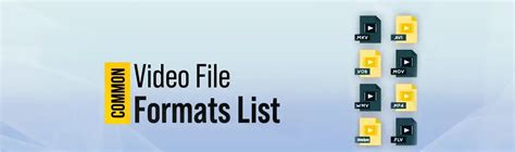 common video formats