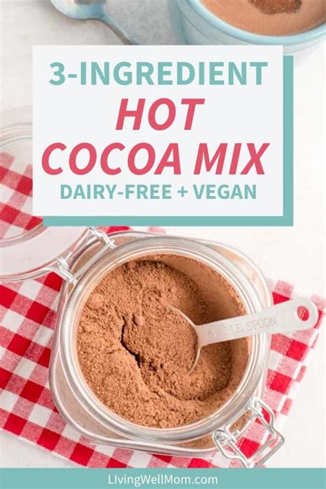 Dairy Free Hot Chocolate Mix Easy Vegan Recipe
