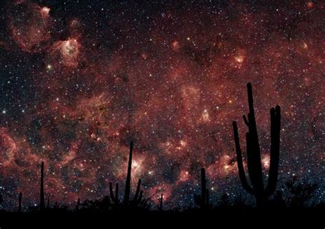 Milkyway Desert Photo12 ImageBROKER Phil Degginger