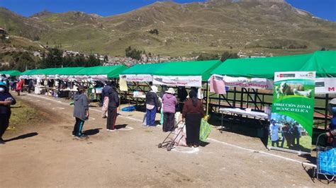 Huancavelica Minagri Genera Ingresos De M S De Mil Soles Para