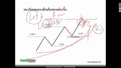 เทคนิคการเลือกคู่เงินในการเทรด Forex ไหนดี ข่าวสด ข่าวร้อนแรง รู้ก่อนใคร