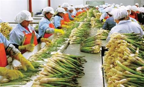 Env Os De Productos Agropecuarios No Tradicionales Aumentaron En