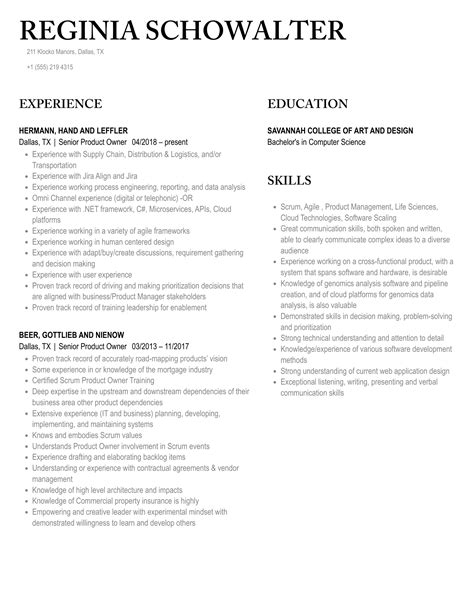 Senior Product Owner Resume Samples Velvet Jobs