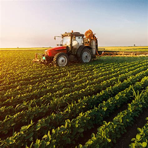 Com essa ação você pode lucrar 52% com agropecuária sem ter de comprar