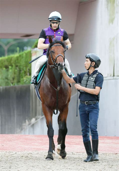 【中京新馬戦】最後のディープインパクト産駒が11日デビュー 3億円馬オープンファイア スポーツ報知