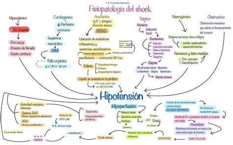 Fisiopatologia Do Choque Hipovolêmico BRAINCP